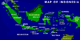 Distribution Network